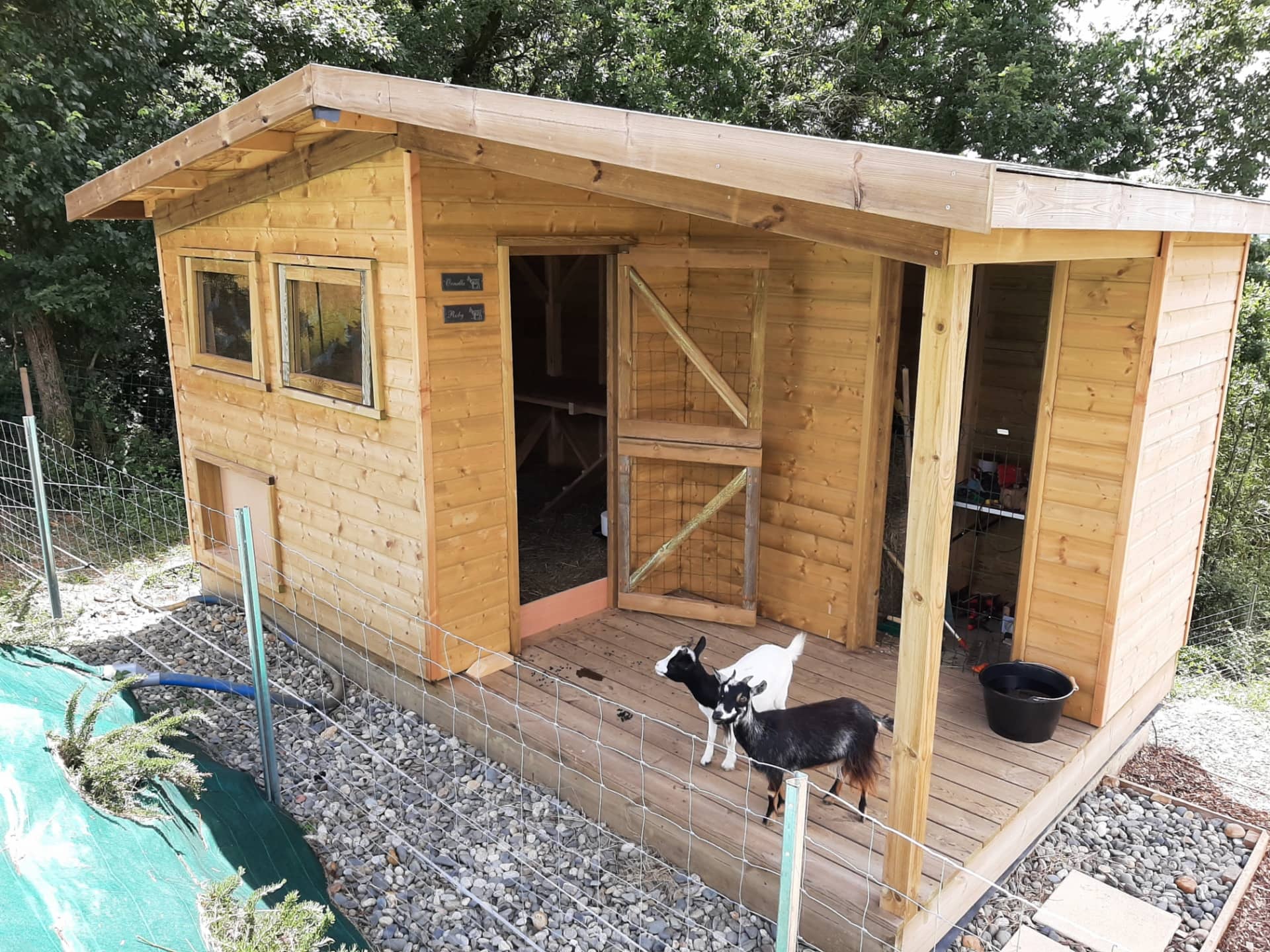 Real photograph of the finished Goat Chalet