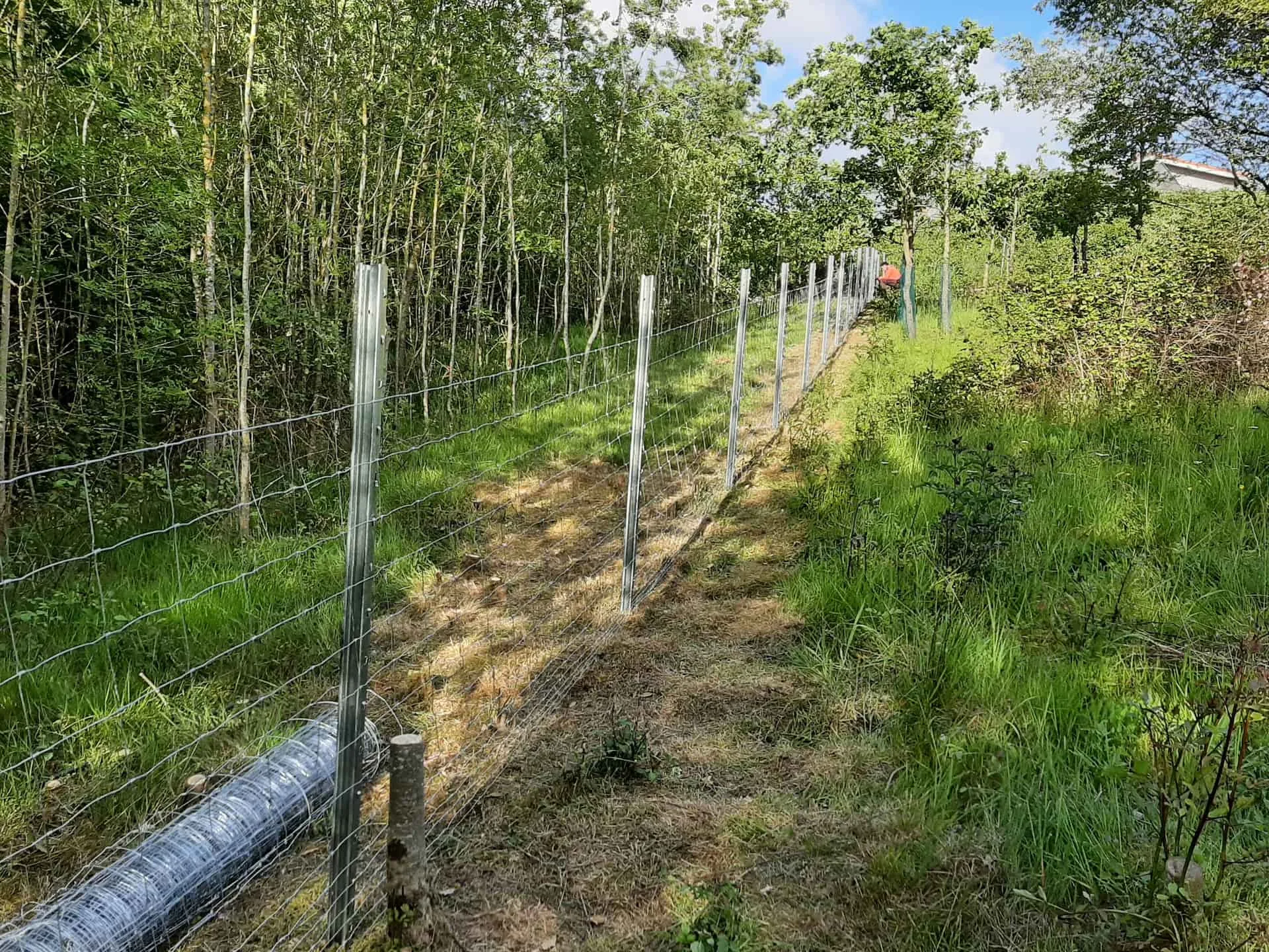 DIY Goat Fencing